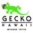 Gecko Hawaii
