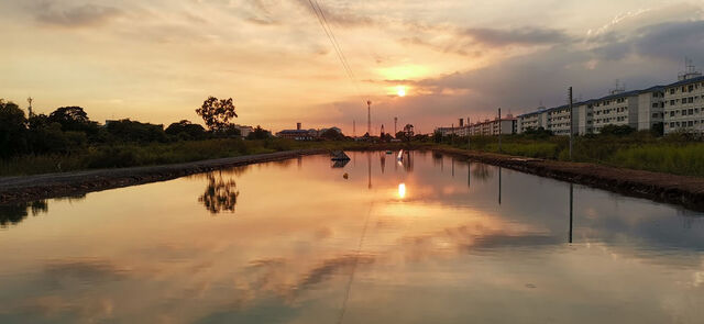 New System 2 Park in Thailand?