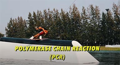Polymerase Chain Reaction (PCR) - Daniel Grant 2021 Wakeboard Season - Alliance Wakeboard