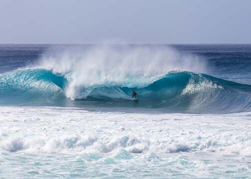 WELCOME TO THE TEAM | LIAM O'BRIEN
