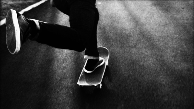 Обзор новых поступлений