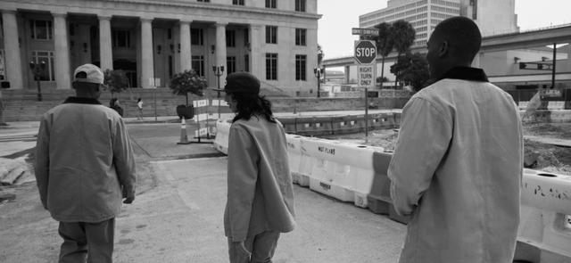 История Dickies