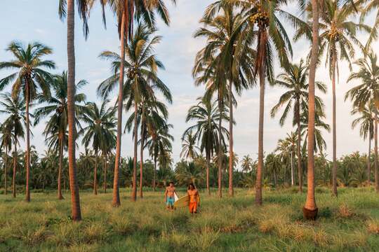 Boarder South - The Summer '24 Collection