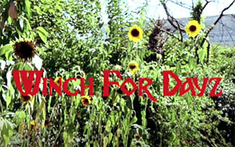 Winch for Dayz - Alliance Wakeboard